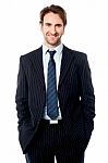 Well Dressed Male Business Executive Stock Photo