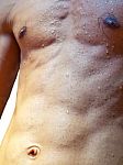 Wet Torso  Stock Photo