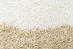 White And Brown Rice Background Stock Photo