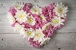 White And Pink Flower On The White Wooden Table Stock Photo