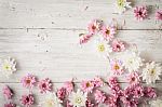 White And Pink Flower On The White Wooden Table Stock Photo