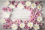 White And Pink Flower On The White Wooden Table Stock Photo