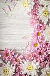 White And Pink Flower On The White Wooden Table Stock Photo