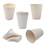 White Paper Cup Close Up Stock Photo