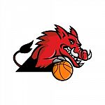 Wild Boar Basketball Mascot Stock Photo