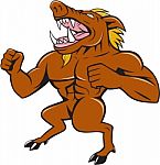 Wild Boar Man Roaring Pumping Chest Cartoon Stock Photo