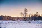 Winter Dawn. Sunrise In Winter Morning. Snow Landscape Stock Photo