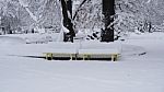 Winter In The Park. Sofia, Bulgaria Stock Photo