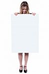 Woman Holding Placard Stock Photo