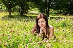 Woman Lying On The Grass In The Park Stock Photo