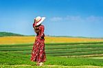 Woman Standing On Green Grass In Green Tea Field Stock Photo