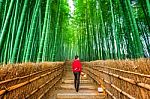 Woman Walking At Bamboo Forest In Kyoto, Japan Stock Photo