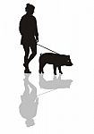 Woman With A Pig On A Leash Stock Photo