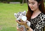 Women Feeding Baby White Bengal Tiger Stock Photo