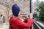 Women In Red Coat Taking A Photo At Japan Garden Stock Photo