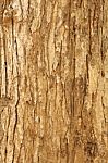 Wood Texture Stock Photo