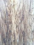 Wood Texture Stock Photo