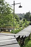 Wooden Walkway To Tropical Garden Stock Photo