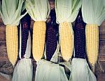 Yellow And Red Corns Are On Wooden Table Stock Photo