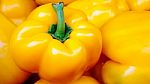 Yellow Pepper Stock Photo