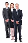 Young And Old Business People Stock Photo