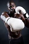 Young Athletic Boxer Wearing Gloves In Black Background Stock Photo