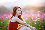 Young Beautiful Woman With A Cosmos Flower Stock Photo