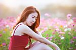 Young Beautiful Woman With A Cosmos Flower Stock Photo