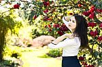 Young Beautiful Woman With Long Straight Dark Hair Posing In Spr Stock Photo