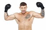 Young Boxer Showing Biceps Stock Photo