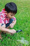 Young Boy Exploring Nature With Magnifying Glass. Outdoors In Th Stock Photo