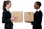 Young Business Womans Holding Small Boxes Stock Photo