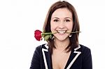 Young Female Holding Rose Between Her Teeth Stock Photo