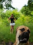 Young Girl With Her Dog Stock Photo