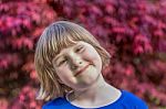 Young Girl With Red Maple Leaves As Background Stock Photo