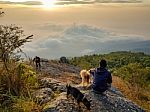 Young Man  Asia Tourist  At Mountain Is Watching Over The Misty Stock Photo