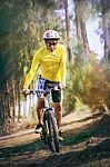 Young Man Riding Mountain Bike Mtb In Jungle Track Use For Sport Stock Photo