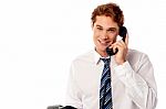 Young Professional Answering Phone Call Stock Photo