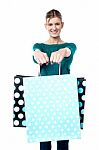 Young Shopaholic Girl With Vibrant Bags Stock Photo