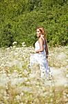 young Woman In Meadow Stock Photo