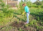 Young Woman Weeding Potato Sprouts Using Hoes Stock Photo