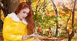 Young Woman With Autumn Leaves In Maple Garden Stock Photo