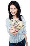 Young Woman With Dollars In Her Hands Stock Photo