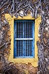 Zanzibar Prison Island And A Old Window Closed Stock Photo