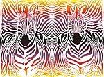 Zebra Abstract Pattern Background Stock Photo