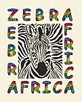 Zebra - Africa Background Stock Photo