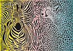 Zebra And Cheetah And Pattern Background Stock Photo