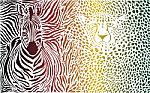 Zebra And Cheetah Color Pattern Stock Photo